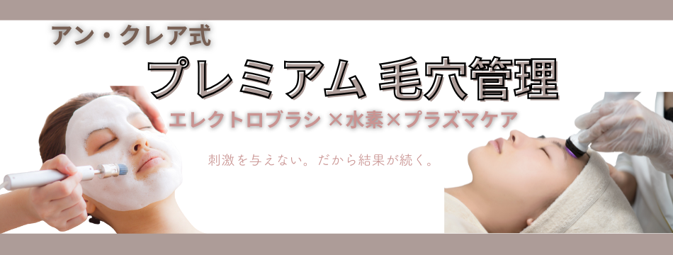 アン・クレア式　プレミアム毛穴管理